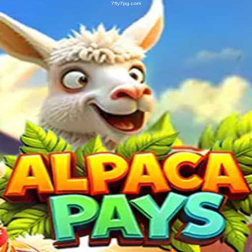 Discover the Thrills of AlpacaPays Casino Game